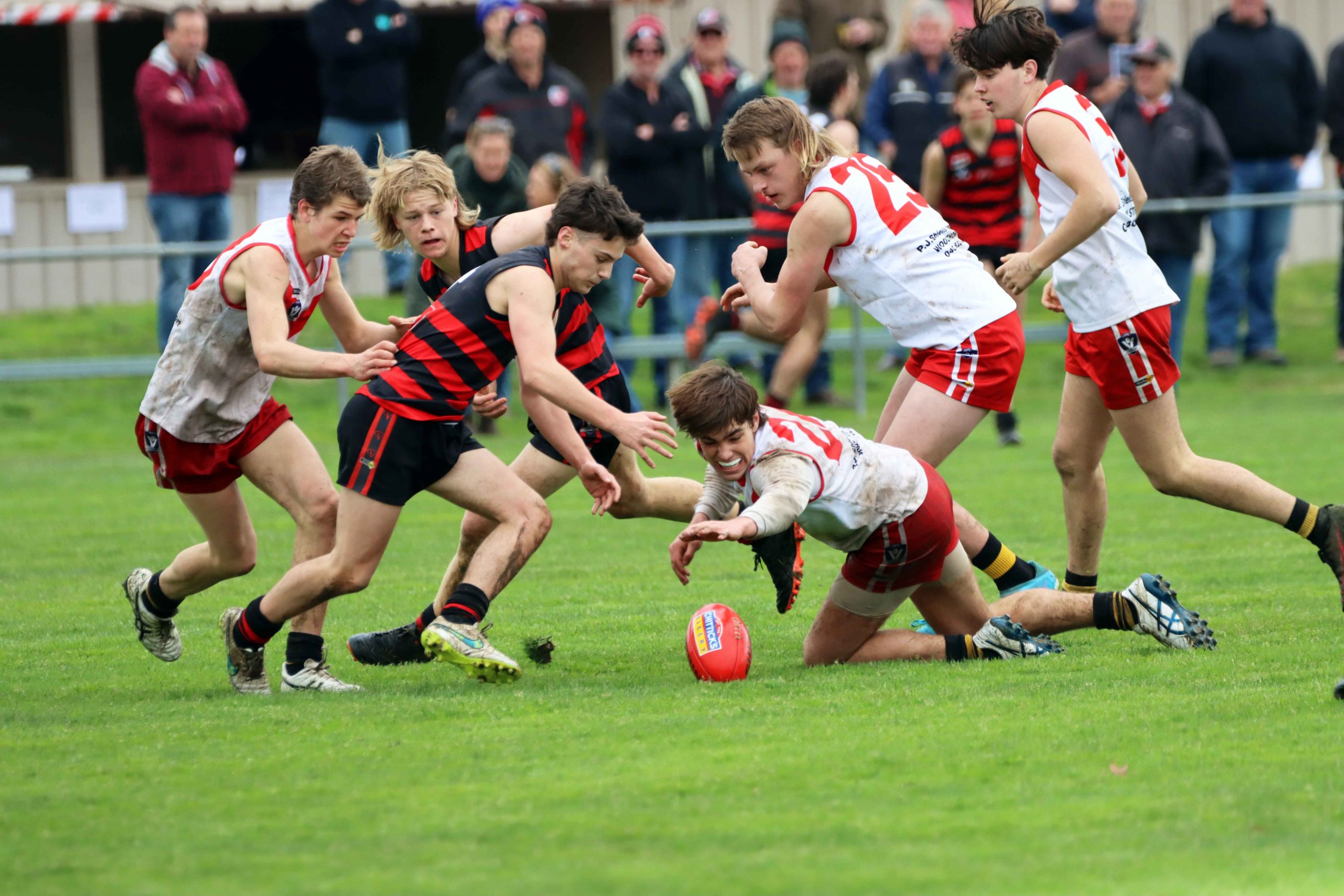 Juniors set for grand final battles