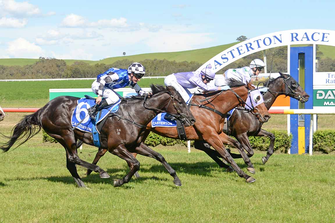 Raging Monkey’s weighty victory at Casterton