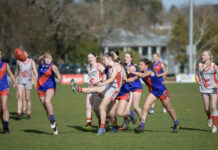 Stingrays surge to victory