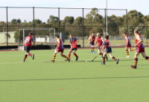 Hamilton Hockey Association Results