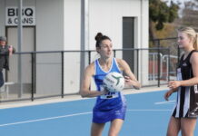Kangaroos find form late