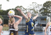 Energetic Eagles finals ready