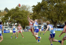 Roo Rankings: Round 16