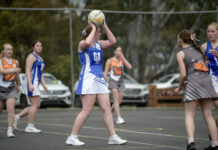 South West District Netball League Scoreboard