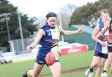 Eagles end season with loss