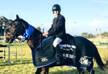 Poles to podiums: Bothmann’s showjumping success