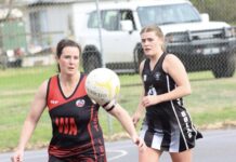 Bombers fly over Swans