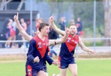 Demons’ sharpshooter reaches ton