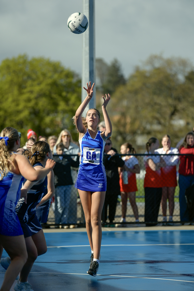 Blue and White Ready for Fight | Hamilton Spectator