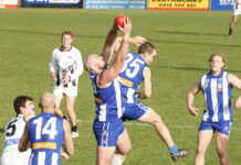 Levi, we Dared to dream