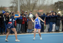 Hamilton set to face formidable Roosters in grand final