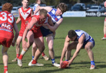 Cats fade out against Roos