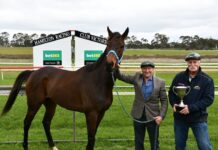 All roads lead to the Hamilton Cup