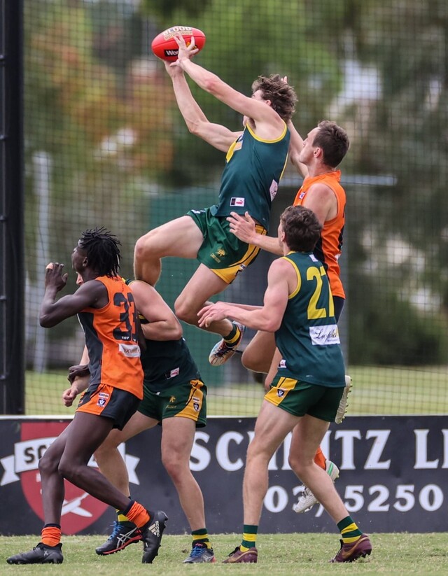 Harris Jennings Returns to Tigerland | Hamilton Spectator