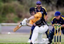 Tigers in the hunt in 25/26 season