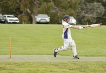 Tigers the team to beat