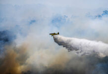 Stay clear of bushfires