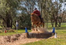 Pines riders shine at state titles