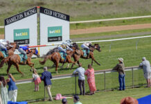 Hamilton Cup 2025 Fields