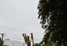 Wet, wild, and windy Wednesday