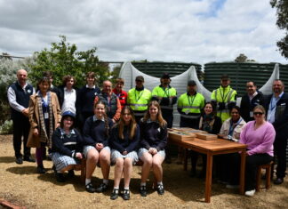 Group of green thumbs