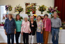 Cavendish show success