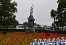 Remembrance Day marked in solemn services across the district