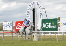 Cup triumph for Le Zebra