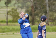 Pumas pounce on Blues