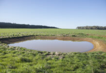 Take stock of your water reserves