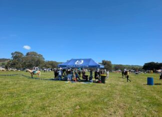 Grant money used for marquees