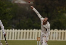 College a class above Pumas