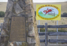 Council adopts Coleraine and Cavendish Structure Plans