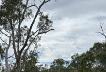 Dry start makes decision on river challenging