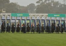 Day full of action planned at racing club