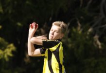 Tigers head into the break as favourites