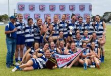 Cats win historic flag
