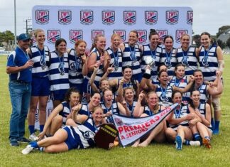 Cats win historic flag