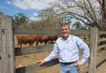 Guerin to oversee NFF