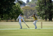 Tarrington’s season on the line