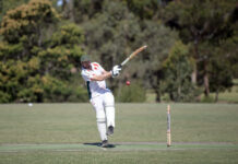 Pigeons pushing for finals