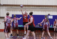 Bandicoots climb up the ladder