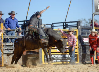 Branxholme rodeo mega pic gallery