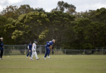 Drews destroyed by the Blues