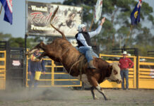 Buckle up, the Dartmoor Rodeo is here