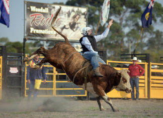 Buckle up, the Dartmoor Rodeo is here