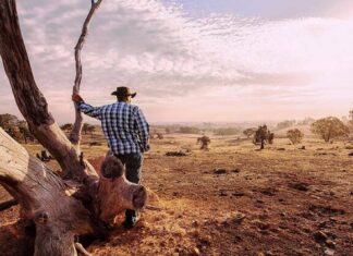 Register for support