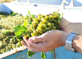 What’s on in our community