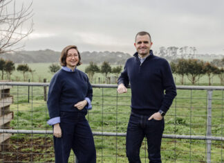 Breakwater for Insurance needs