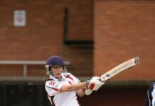 Pigeons soar over Tigers